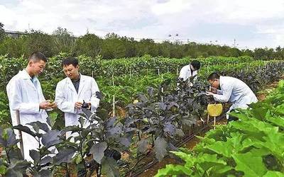 理性看待農業投資熱 警惕“熱投資、冷農民”現象